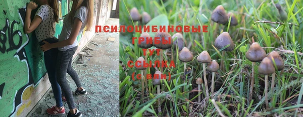 ALPHA PVP Гусиноозёрск