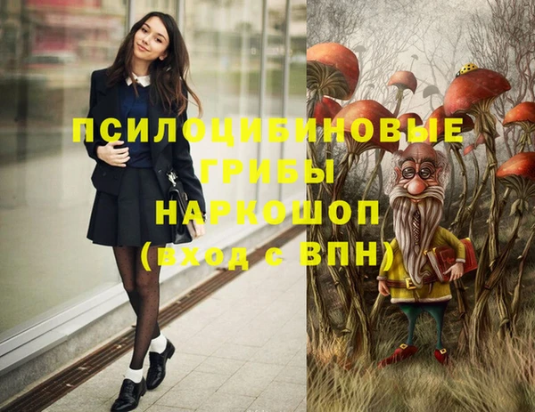 ALPHA PVP Гусиноозёрск