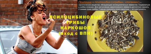 Альфа ПВП Гусь-Хрустальный