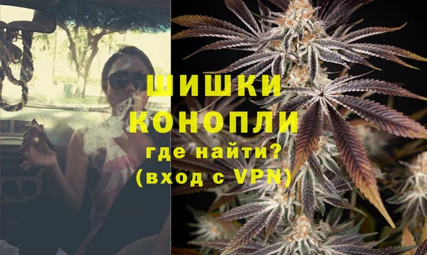 ГАЛЛЮЦИНОГЕННЫЕ ГРИБЫ Козловка