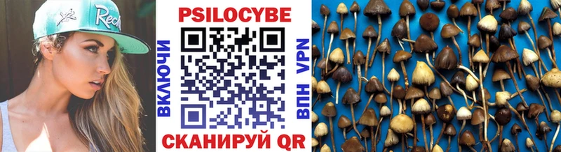 Галлюциногенные грибы Psilocybe  Трёхгорный 